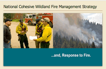 The Wildland Fire Executive Committee announced the release of Regional Action Plans for wildland fire management. Read about it here.